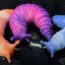 3D Printed Slugs: 11 Types and Examples